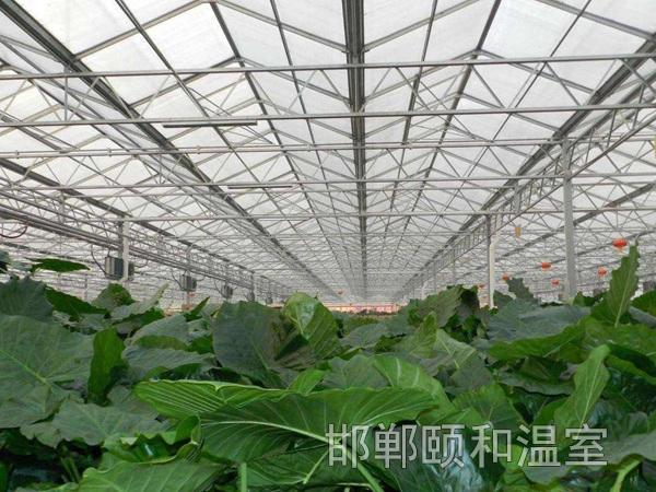 邯郸市颐和农业科技